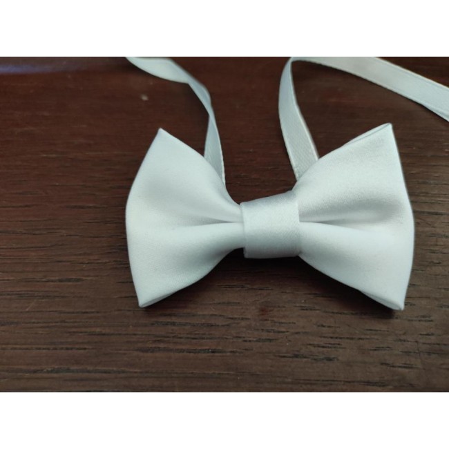 Papillon bianco Papillon bianco